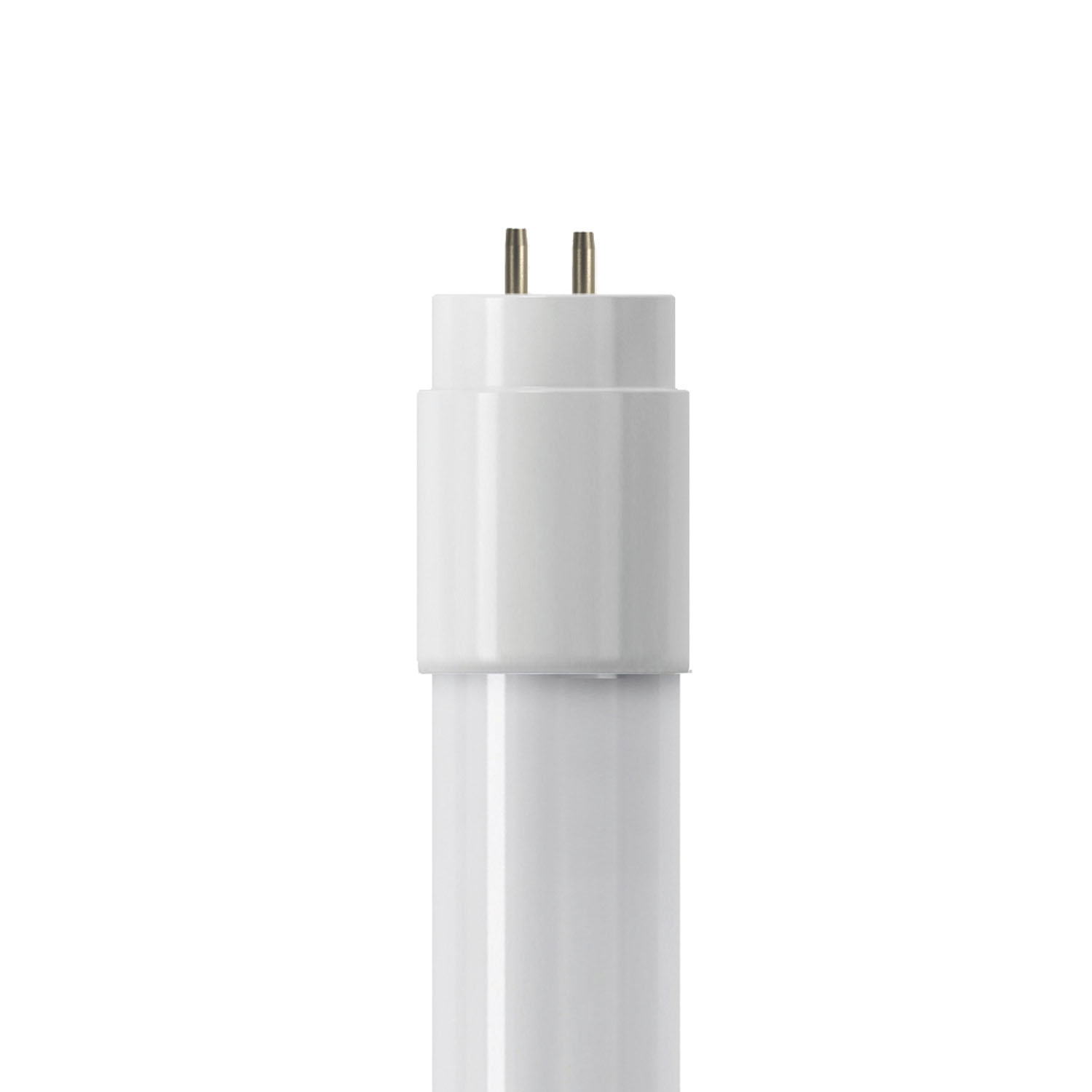 BOT35.jpg BTLLT06092E - immagine 1